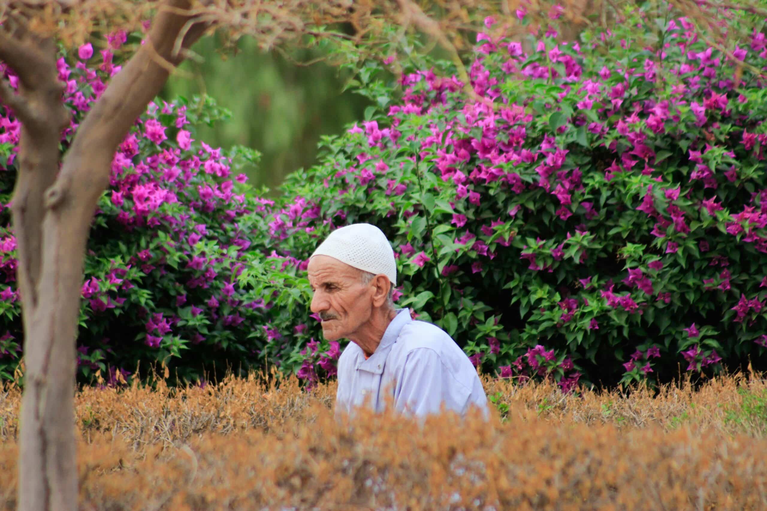 Ouarzazate: The Gateway to the Sahara 8 Kelaa M'Gouna