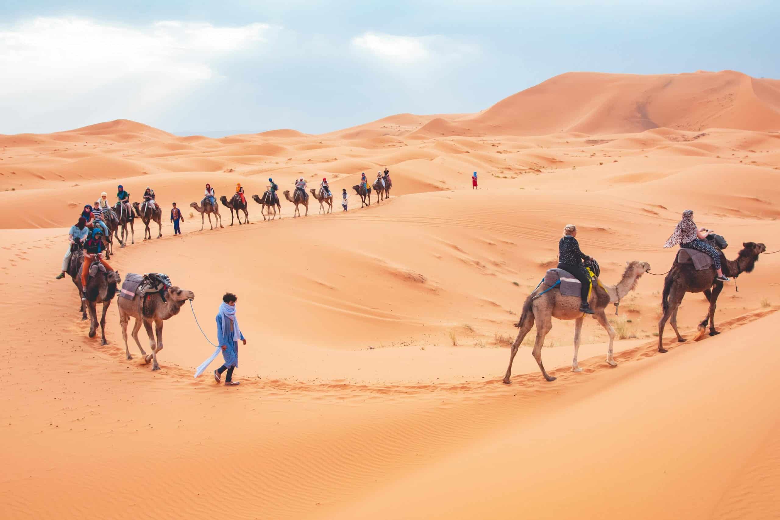 Explore Merzouga: Where the Sand Meets the Sky 2 merzouga camel