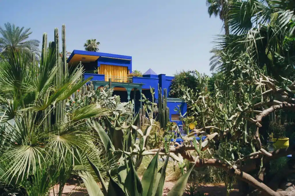 Marrakech Bucket List: 15 Epic Experiences to Love in 2025 2 Lush Majorelle Garden in Marrakech with blue villa and palm trees